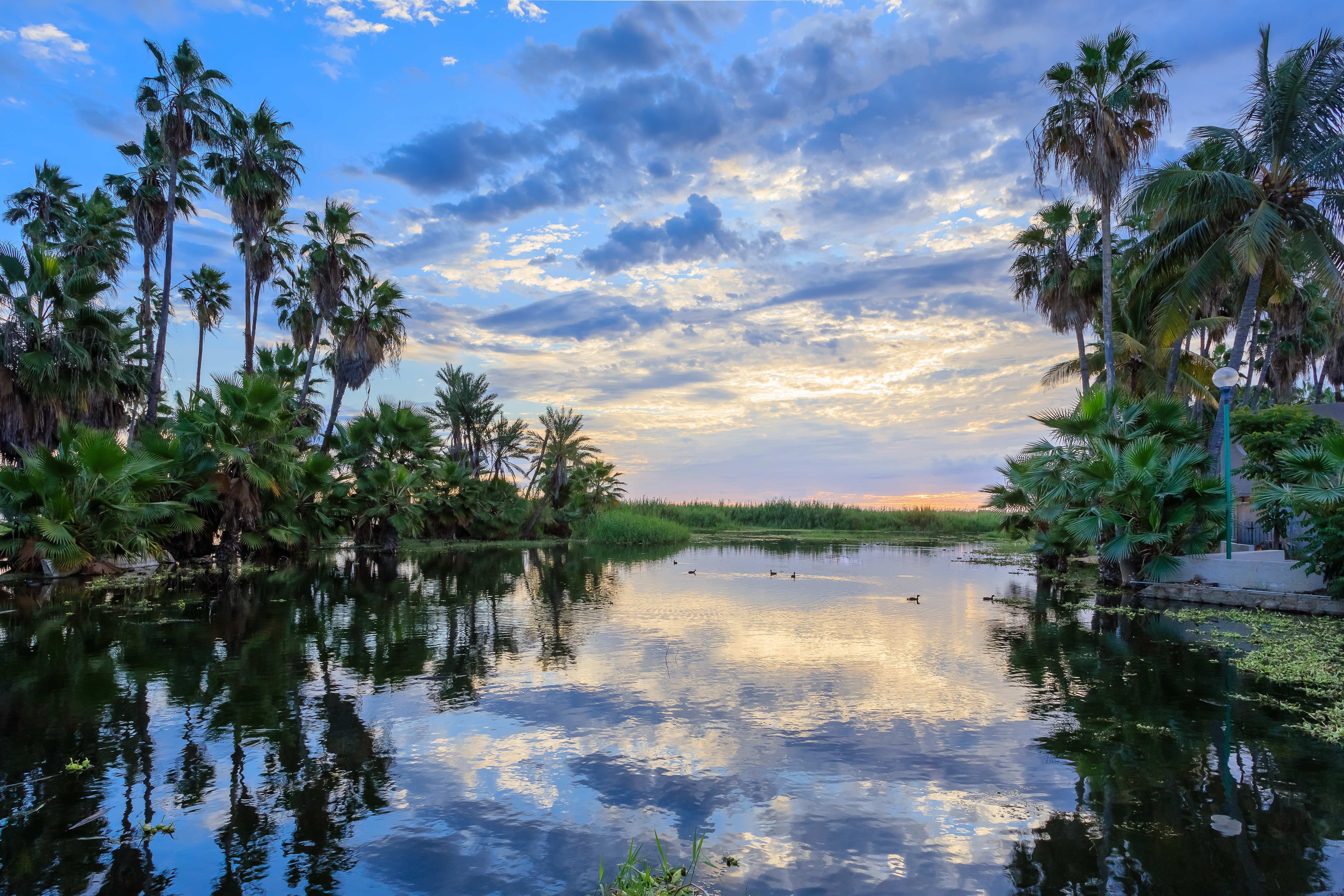Estero de San José del Cabo